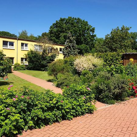 Ferienwohnung Rügen in Samtens Exterior foto